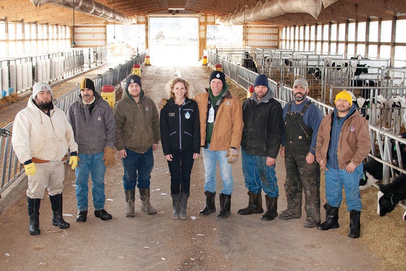 Michigan dairy producers dominate in National Dairy Quality Awards