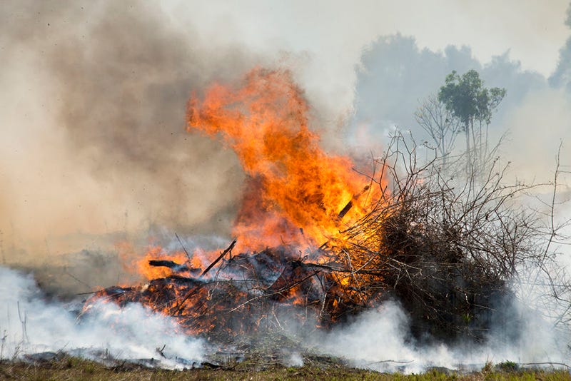 Some agricultural burning allowed, some not Michigan Farm News