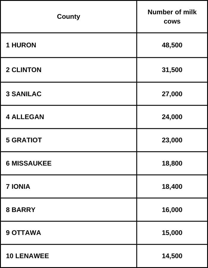 Happy cows are healthy cows Why Michigan’s cows produce the most milk