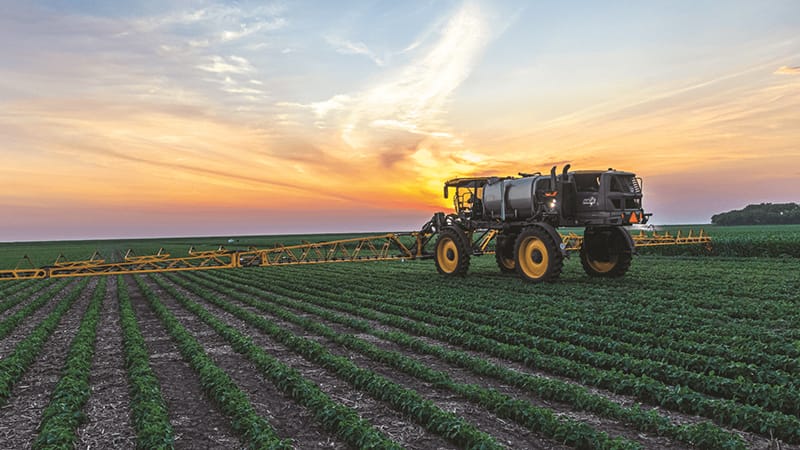 best herbicide for grass Atrazine St. Augustine Weed Killer 1 Quart main image 0