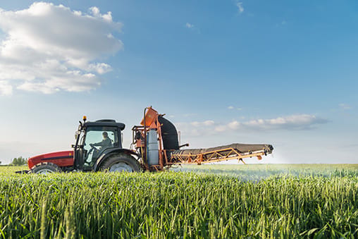 What's the best time to control weeds in wheat? - Michigan Farm News