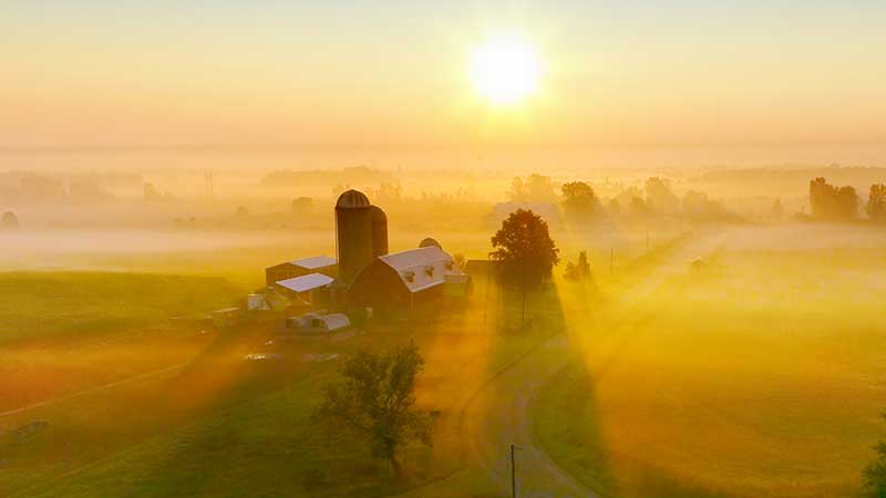 Farmer optimism booms with improved outlook on the future - Michigan ...