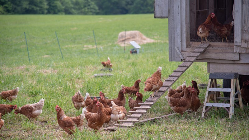 Home Page Michigan Farm News