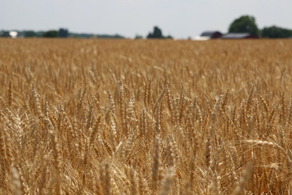 MDARD Announces Grant Opportunity for Counties and Townships with