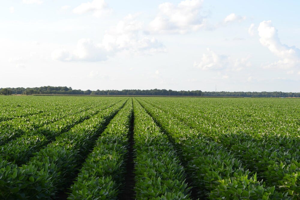 Markets respond to USDA’s Acreage Report and Tightening Grain Stocks