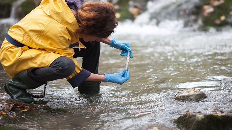 MSU led Team Receives EPA Grant To Explore Biosolid Treatments Effects 