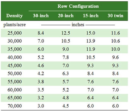 Is the future of corn production in narrow rows? - Michigan Farm News