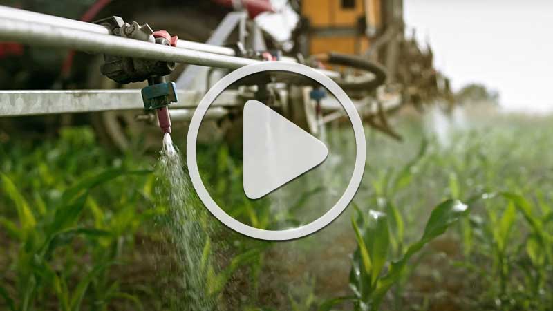 Syngenta launches new corn herbicide - Michigan Farm News