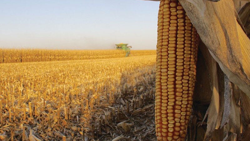 Michigan farmland values continue to defy farm economy - Michigan Farm News