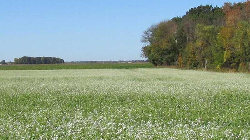 USDA accepts 1M+ acres in general CRP signup - Michigan Farm News