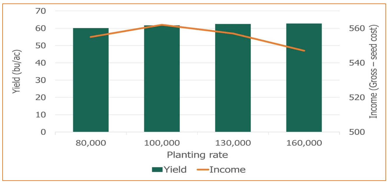 Reducing soybean planting rates can improve profits Michigan Farm News