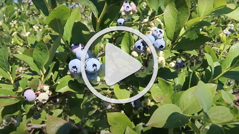 Home Page - Michigan Farm News