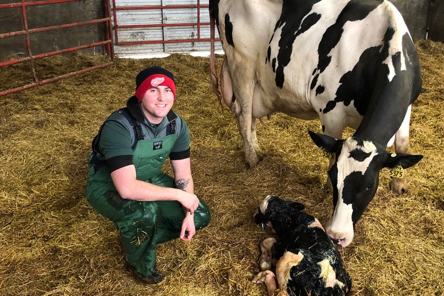 MSU vet student receives DCHA scholarship Michigan Farm News