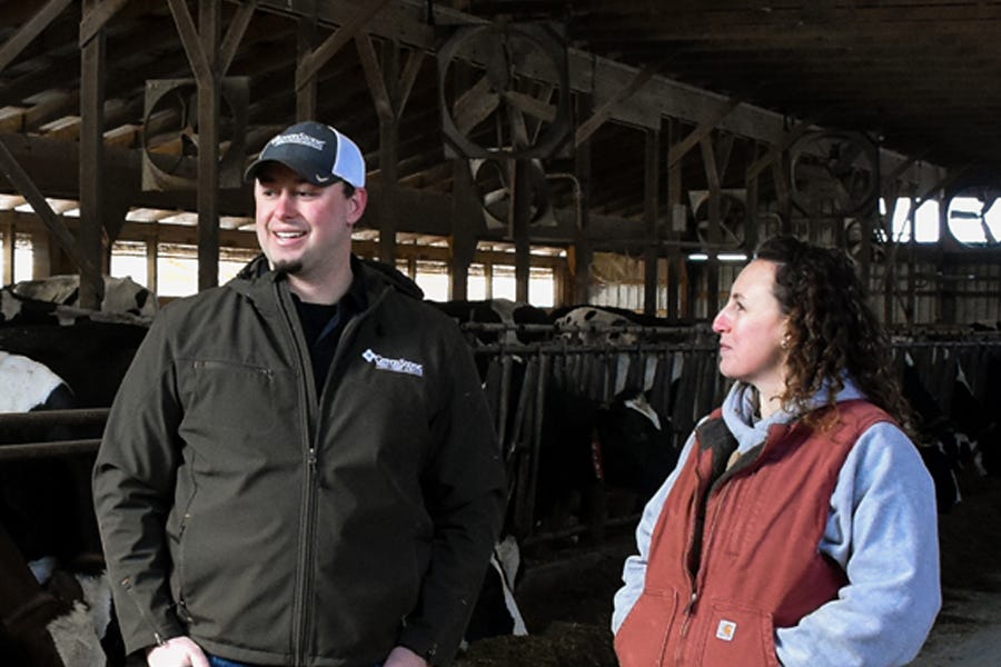 K&K Dairy Farms — going against the grain Michigan Farm News